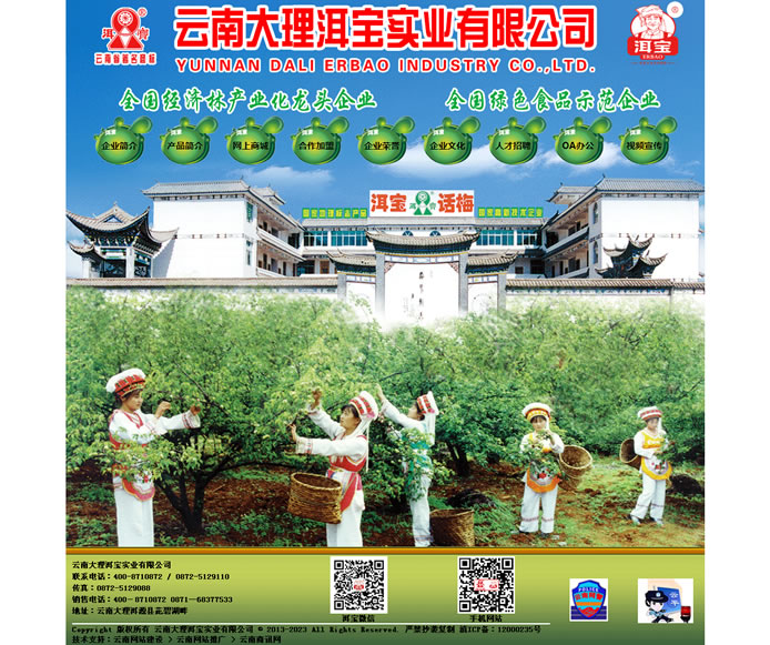云南網(wǎng)站建設(shè)、昆明網(wǎng)站建設(shè)、云南網(wǎng)站制作、昆明網(wǎng)站制作、云南微網(wǎng)站制作、云南網(wǎng)站優(yōu)化推廣、大理網(wǎng)站建設(shè)、麗江網(wǎng)站建設(shè)、大理網(wǎng)站制作、麗江網(wǎng)站制作、保山網(wǎng)站建設(shè)、德宏網(wǎng)站建設(shè)、文山網(wǎng)站建設(shè)、楚雄網(wǎng)站建設(shè)、紅河網(wǎng)站建設(shè)、云南政府網(wǎng)站建設(shè)、普洱網(wǎng)站建設(shè)